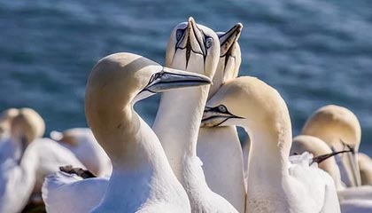 永康2026年最新杭州高端商务伴游招聘网渠道分享(最方便真实的永康茉莉伴游伴游天下全国联盟方法)