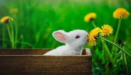 永康2026年最新杭州高端商务伴游招聘网渠道分享(最方便真实的永康茉莉伴游伴游天下全国联盟方法)